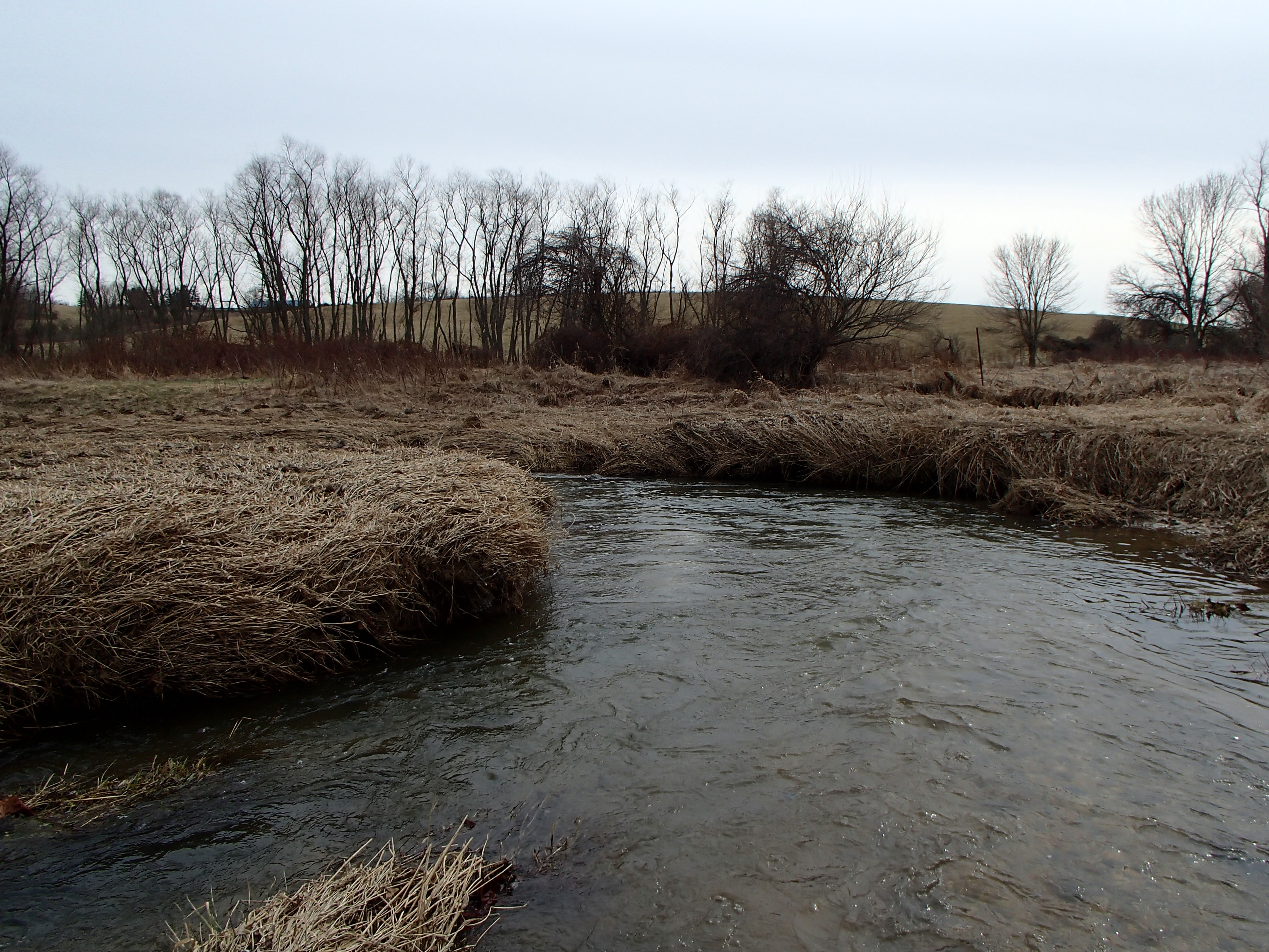 Field photo showing stream conditions at site SBPA-201-X-2016_midpoint looking downstream